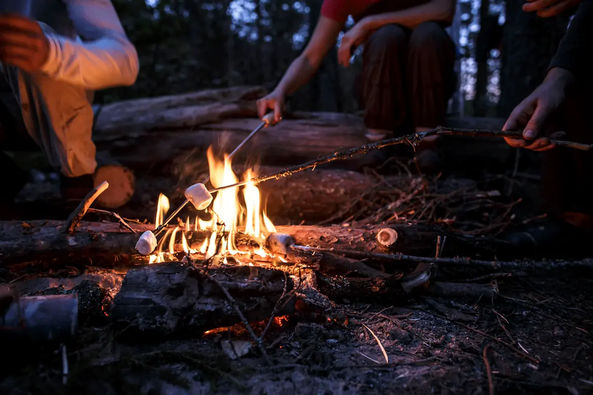Barn grillar marshmallows tillsammans över en lägereld