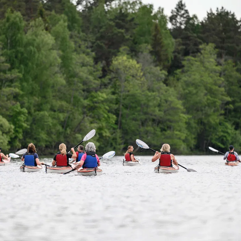 En grupp kajakpaddlare på vattnet