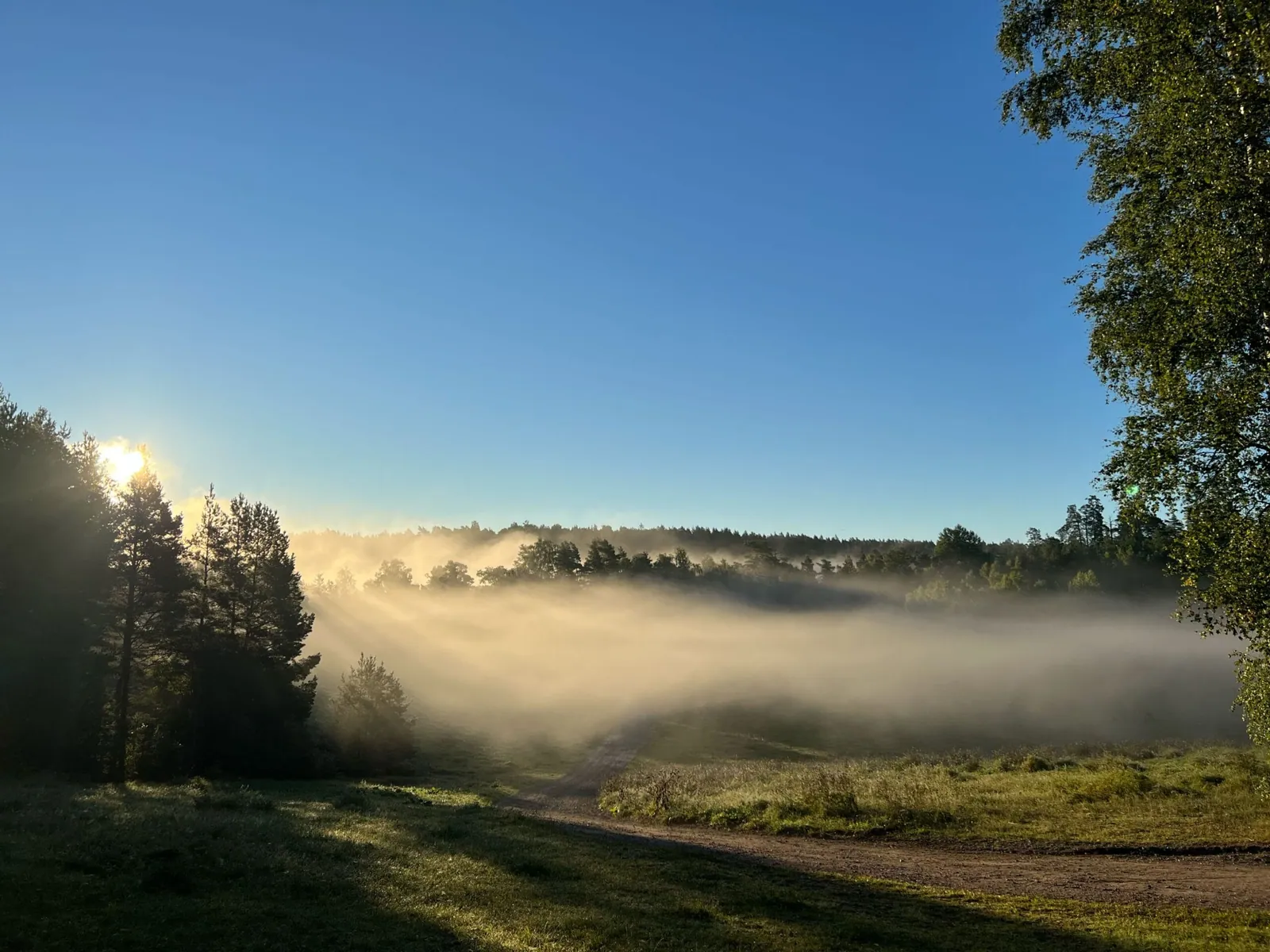 Morgondimma och solljus över Sunnerstagropen